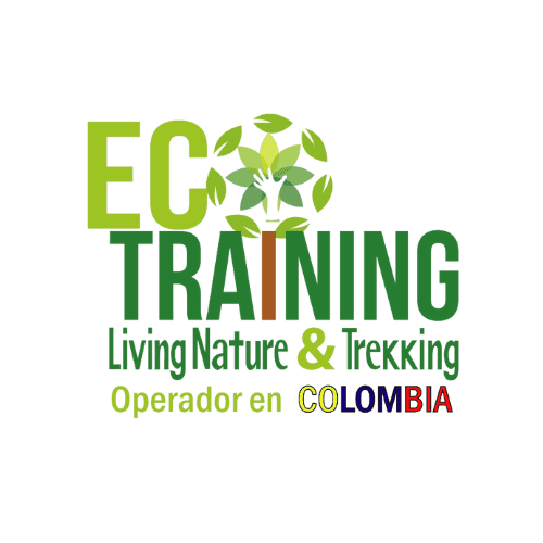 EcoTraining-Logo