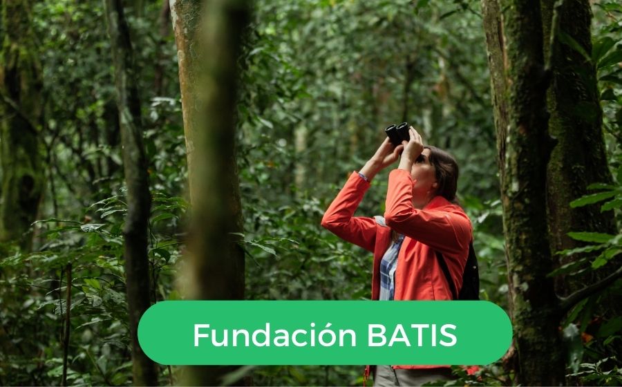 FUNDACION BATIS